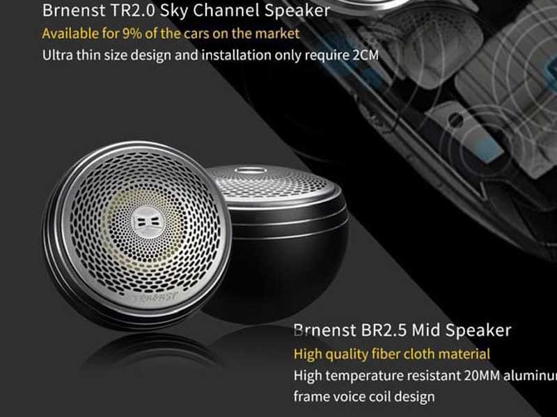 Loa mid treble Brnenst BR2.5II