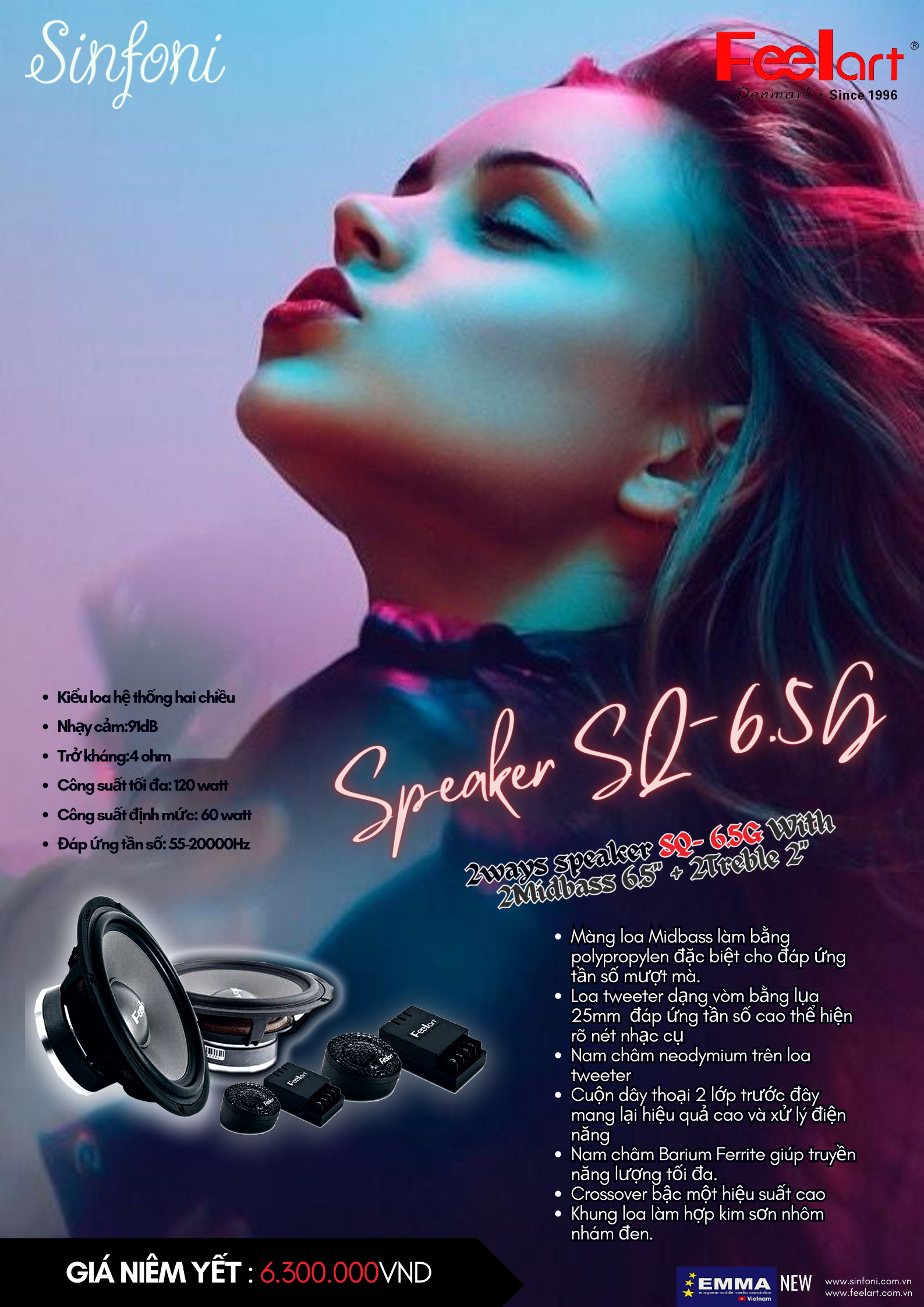 LOA CÁNH FEELART SQ6.5G
