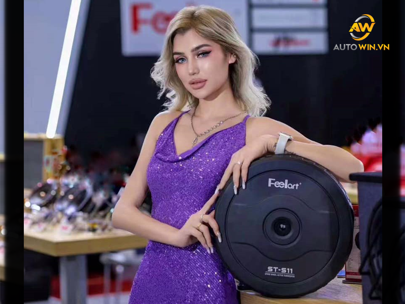 Loa Sub Lốp Dự Phòng, Nên Chọn Loại Nào?